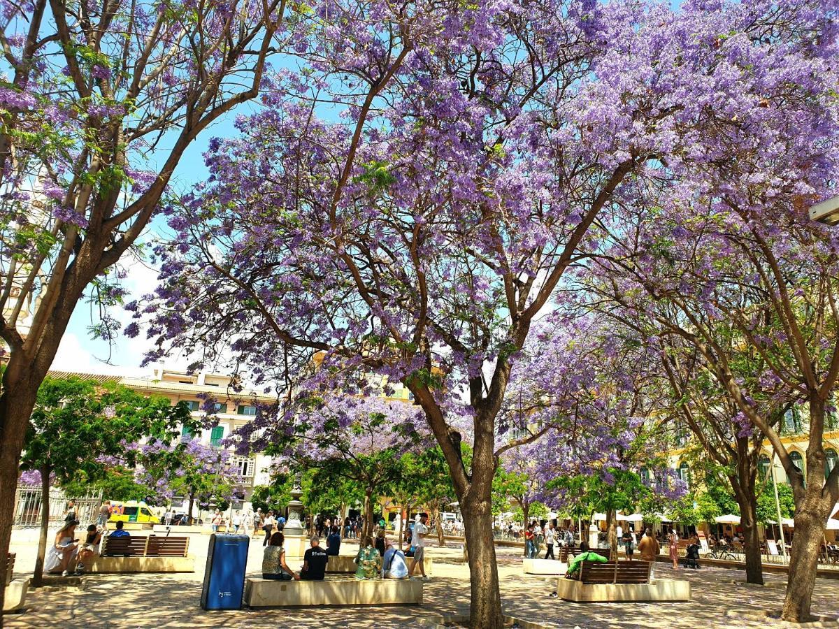 Sunny Malaga Centre Flats, 2 Options, With Balcony Or Terrace Apartment ภายนอก รูปภาพ